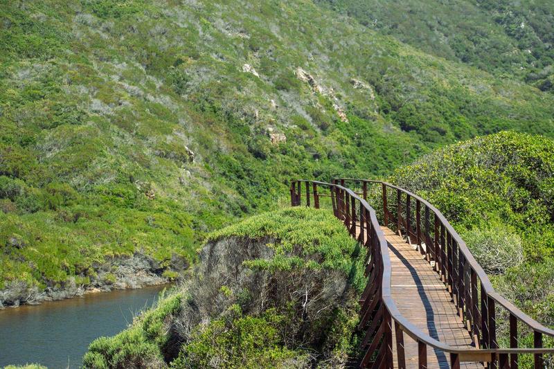 0 Bedroom Property for Sale in Moquini Western Cape